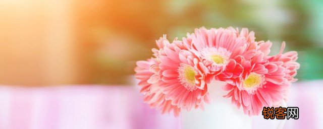 鲜花能不能带上客车 鲜花可以带上客车么