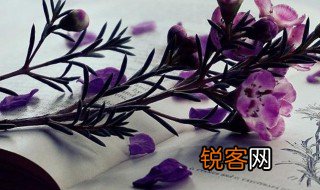 尽职尽责的近义词 尽职尽责的近义词有什么