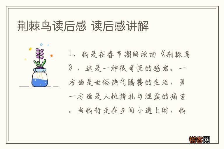 荆棘鸟读后感 读后感讲解