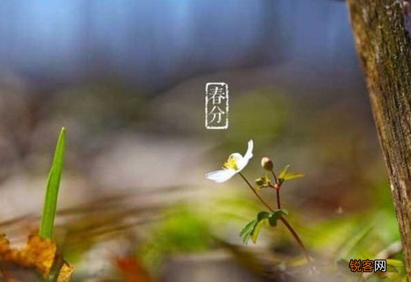 2021年春分是黄道吉日吗