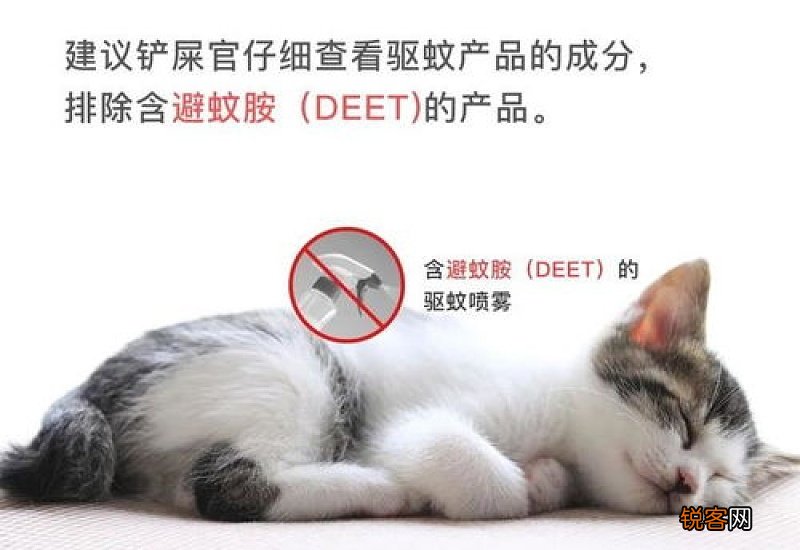 猫咪蚊香中毒