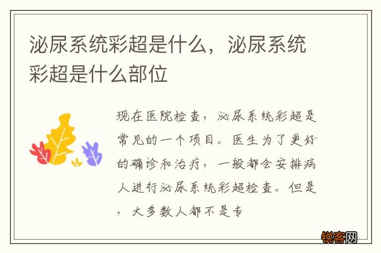 泌尿系统彩超是什么，泌尿系统彩超是什么部位