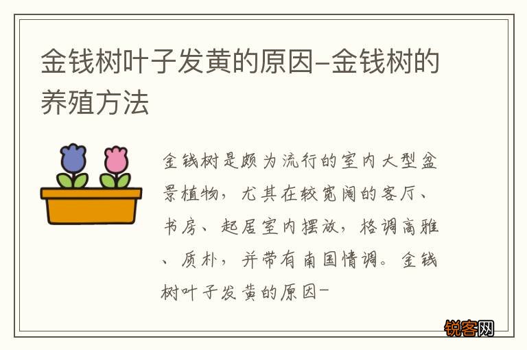 金钱树叶子发黄的原因-金钱树的养殖方法