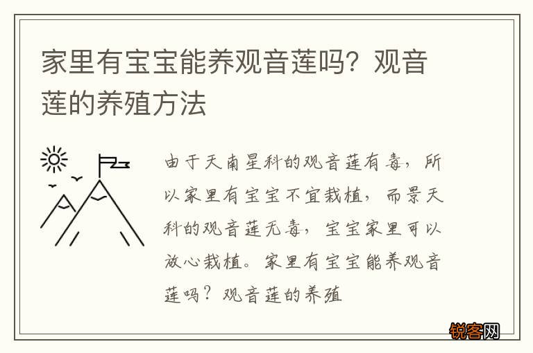 家里有宝宝能养观音莲吗？观音莲的养殖方法