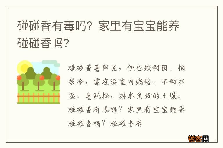 碰碰香有毒吗？家里有宝宝能养碰碰香吗？