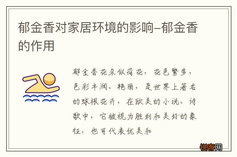 郁金香对家居环境的影响-郁金香的作用