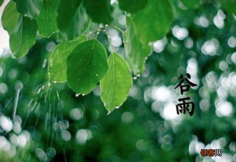 谷雨下雨好还是出太阳好