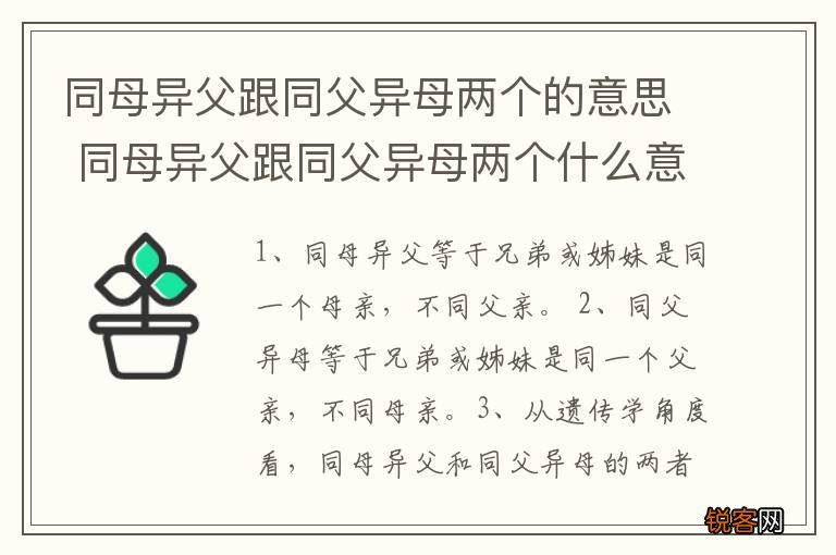 同母异父跟同父异母两个的意思 同母异父跟同父异母两个什么意思
