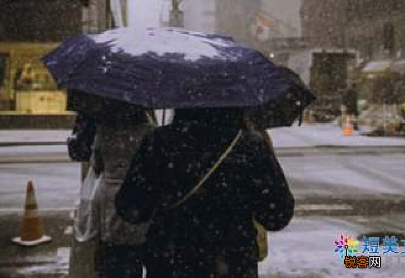 雪作文精选10篇