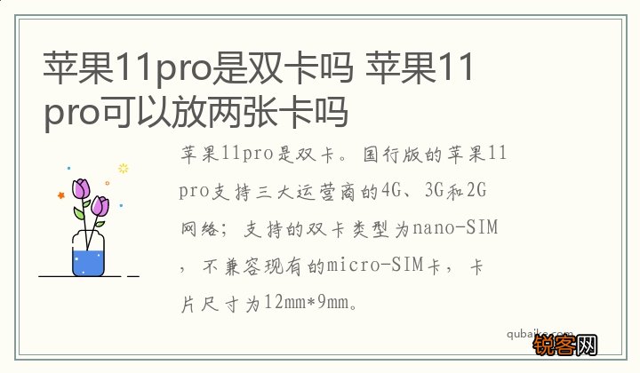 苹果11pro是双卡吗 苹果11pro可以放两张卡吗