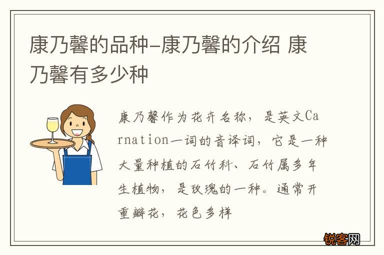 康乃馨的品种-康乃馨的介绍 康乃馨有多少种