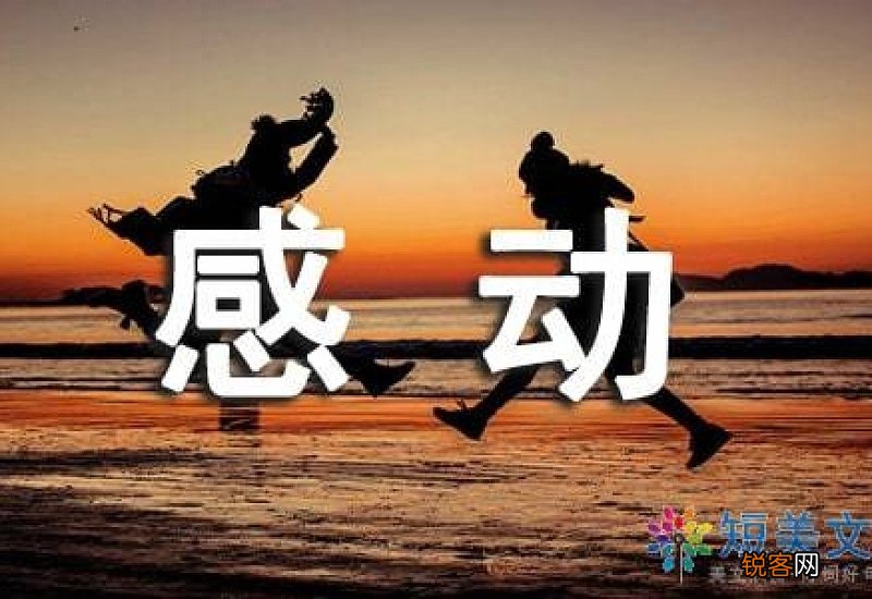 感动优秀作文800字，感动为话题作文800字