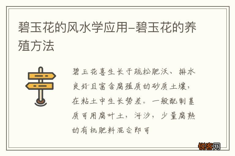 碧玉花的风水学应用-碧玉花的养殖方法