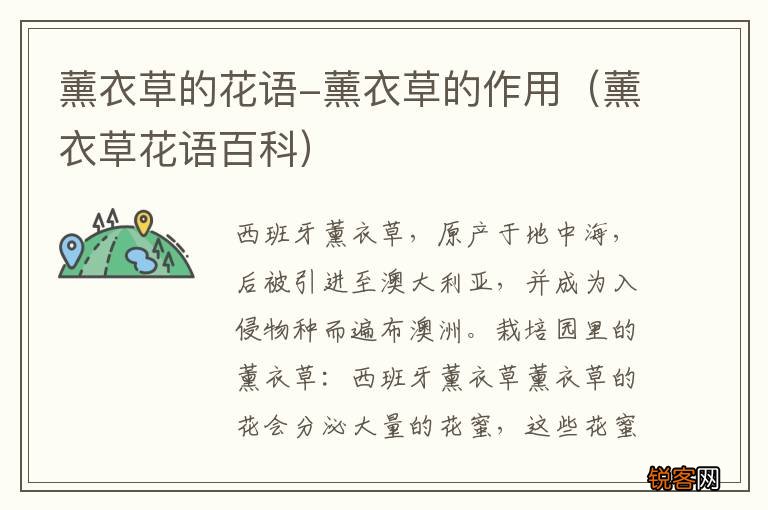 薰衣草花语百科 薰衣草的花语-薰衣草的作用