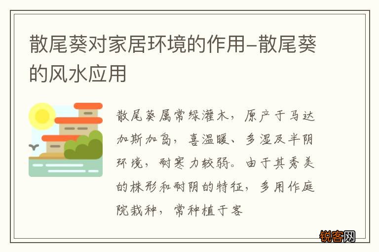 散尾葵对家居环境的作用-散尾葵的风水应用
