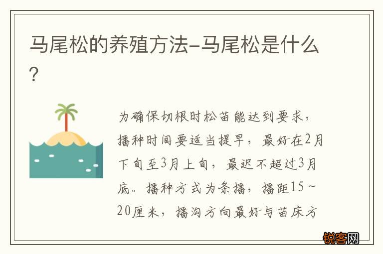 马尾松的养殖方法-马尾松是什么？