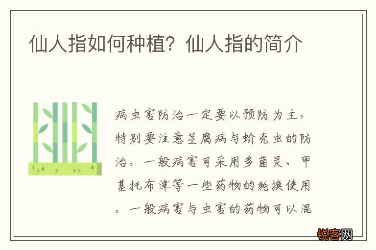 仙人指如何种植？仙人指的简介