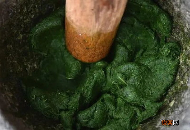 做青团是用全草还是只要草汁