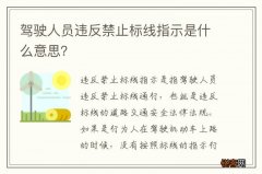 驾驶人员违反禁止标线指示是什么意思？