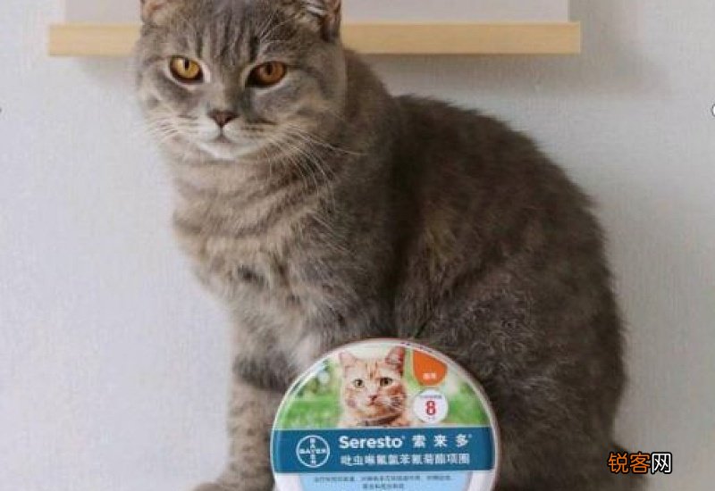 猫驱虫用什么牌子药比较好