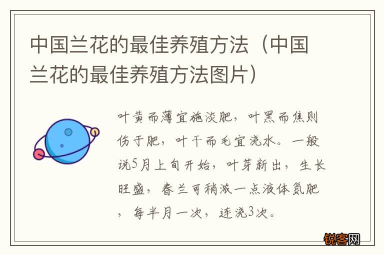 中国兰花的最佳养殖方法图片 中国兰花的最佳养殖方法