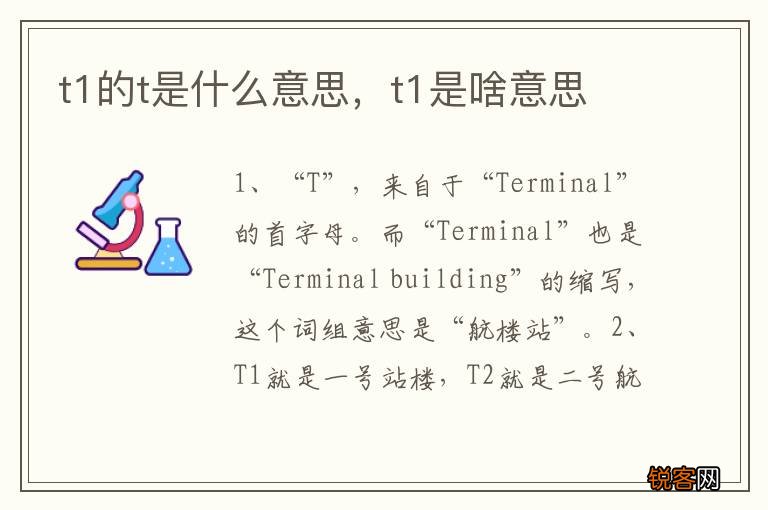 t1的t是什么意思，t1是啥意思