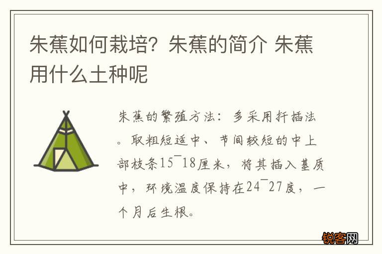 朱蕉如何栽培？朱蕉的简介 朱蕉用什么土种呢