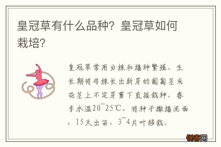皇冠草有什么品种？皇冠草如何栽培？