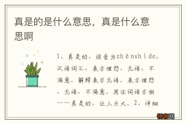 真是的是什么意思，真是什么意思啊