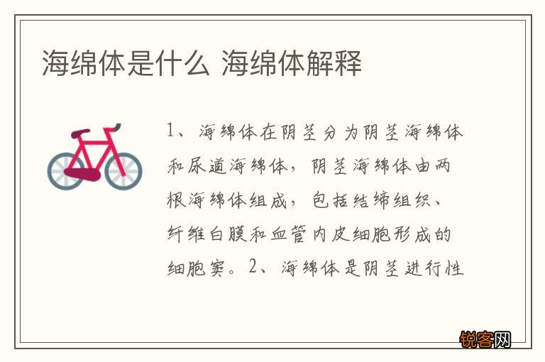 海绵体是什么 海绵体解释