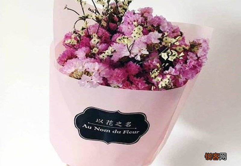 代表友谊的花送什么