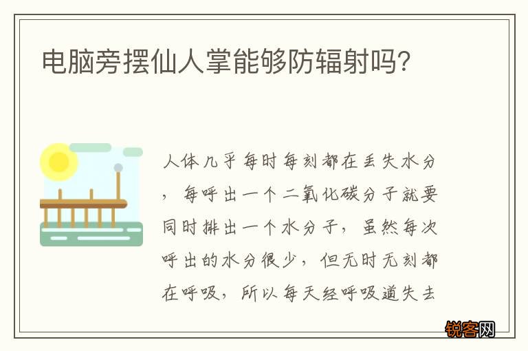 电脑旁摆仙人掌能够防辐射吗？