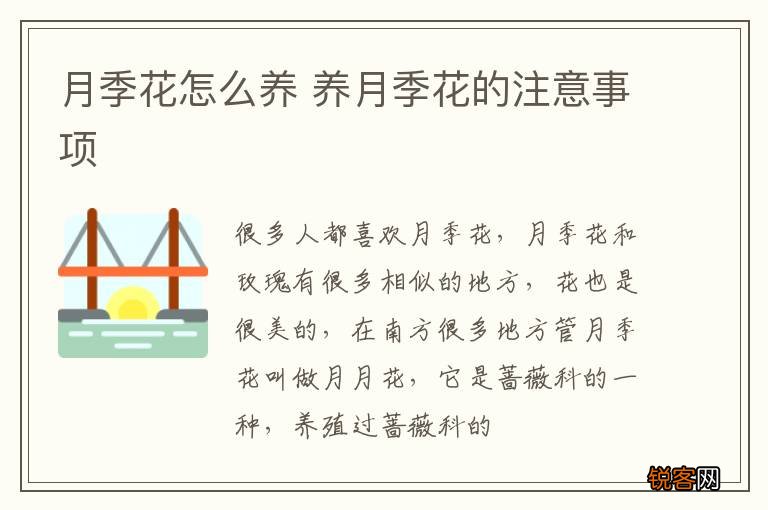 月季花怎么养 养月季花的注意事项