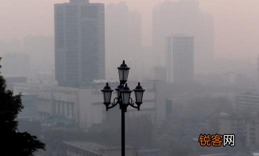 家里种什么植物能够对抗雾霾天气 家里种什么植物能够对抗雾霾