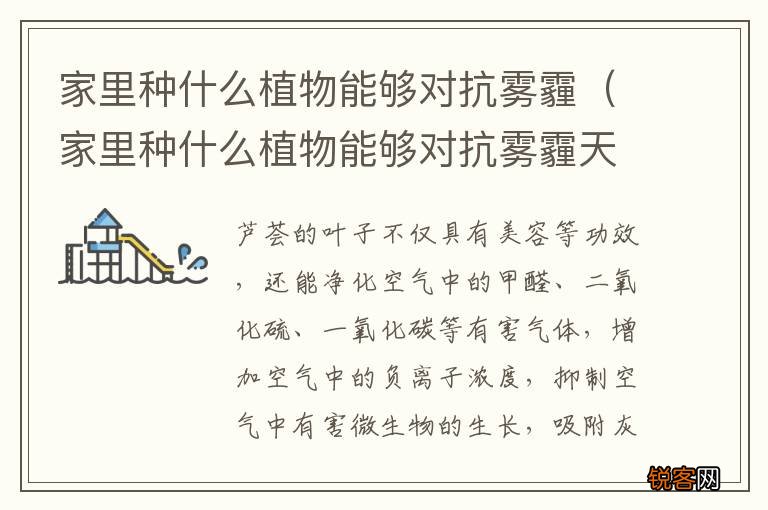 家里种什么植物能够对抗雾霾天气 家里种什么植物能够对抗雾霾