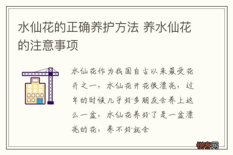 水仙花的正确养护方法 养水仙花的注意事项