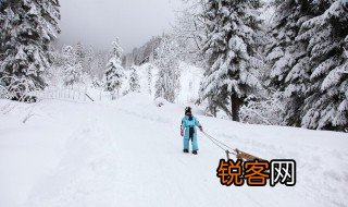 下雪了的场景说一段话 描写一段下雪的情景句子
