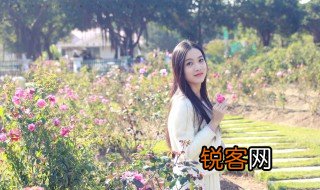 浅笑安然的解释 浅笑安然解释