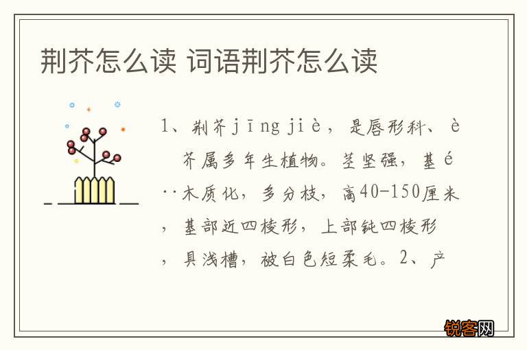 荆芥怎么读 词语荆芥怎么读