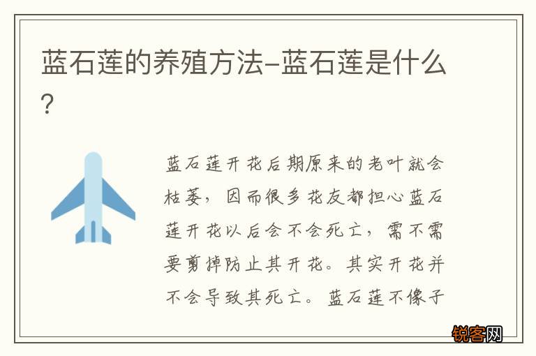 蓝石莲的养殖方法-蓝石莲是什么？