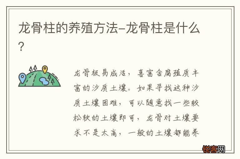 龙骨柱的养殖方法-龙骨柱是什么？