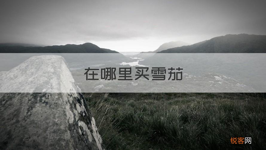 可靠解答 雪茄在哪里买 在哪里买雪茄