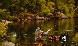 愿者上钩的意思 愿者上钩的解释