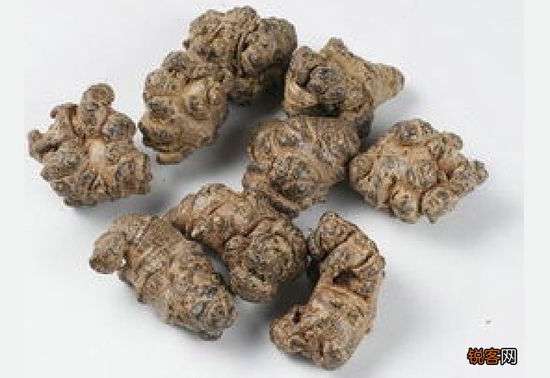 假三七是什么样子的