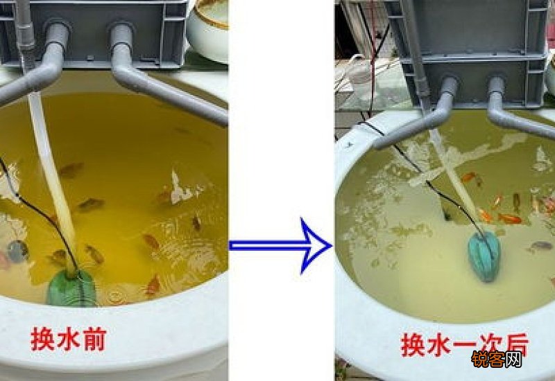 用了黄粉后怎么处理水