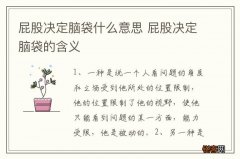屁股决定脑袋什么意思 屁股决定脑袋的含义