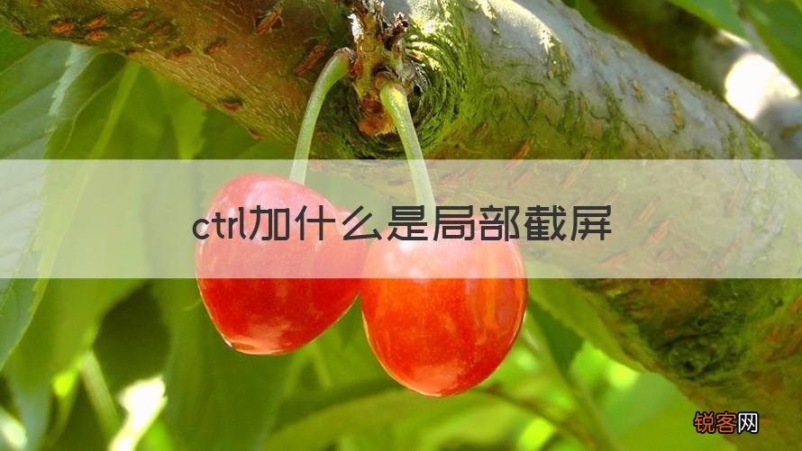 回答 ctrl加什么是局部截屏