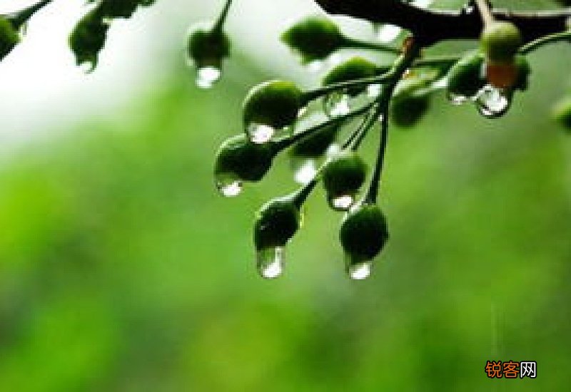 梅雨季节车内起雾怎么办