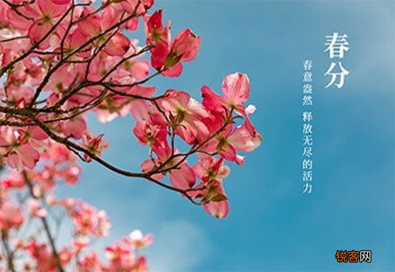 2021春分节气是不是不宜同房