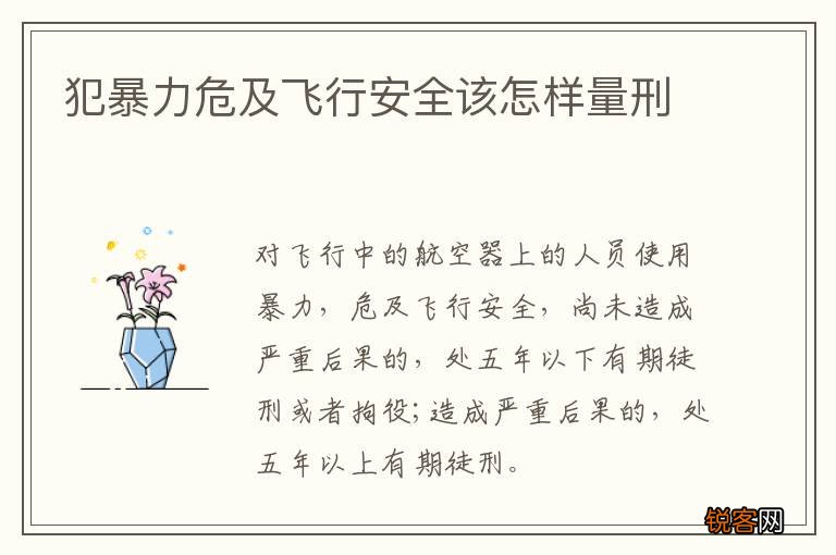犯暴力危及飞行安全该怎样量刑